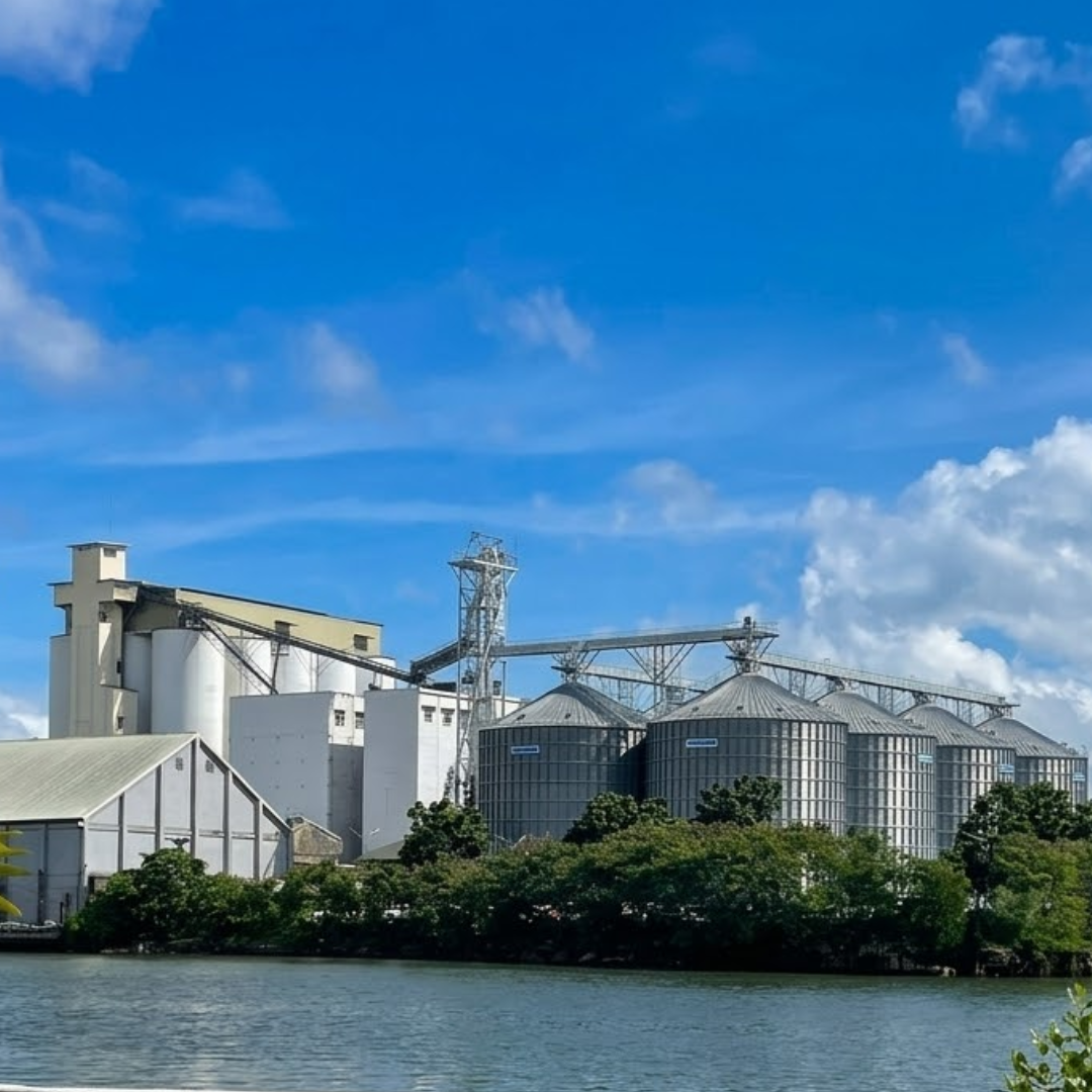 Installation & Erection of 8 × 3,600 MT Grain Silos
